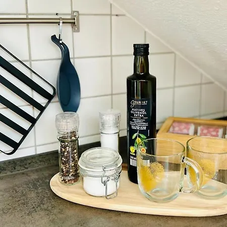 Appartement Gemuetlich & Stilvoll- Veloparadies Auf 65qm *