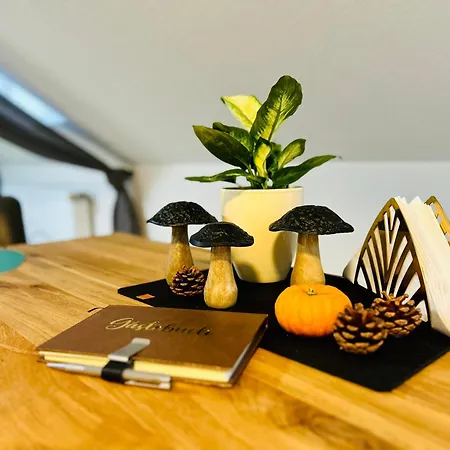 Gemuetlich & Stilvoll- Veloparadies Auf 65qm Appartement *